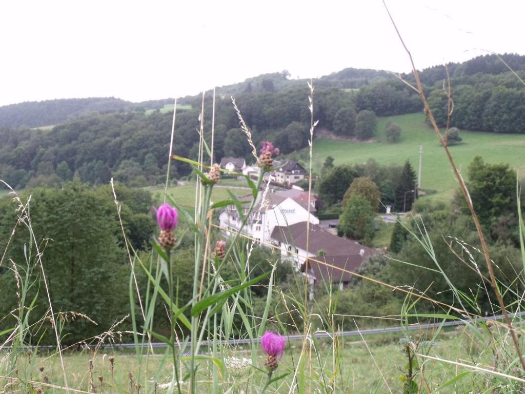 Hotel Zur Engelsburg Hausen-Wied Dış mekan fotoğraf